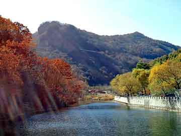 管家婆免费正版资起大全，北京岩棉板